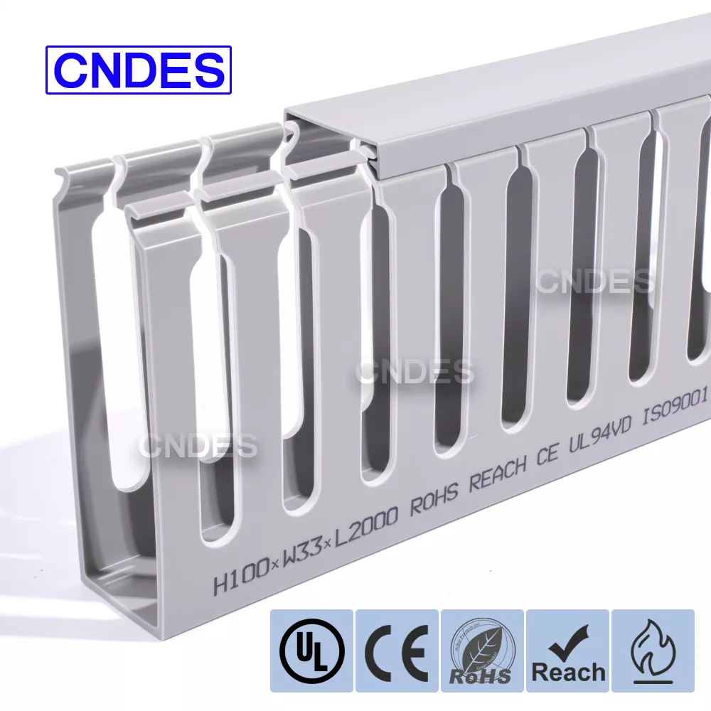 Quản lý cáp giá máy chủ 100 × 33